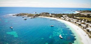 bg-testimonial-home3